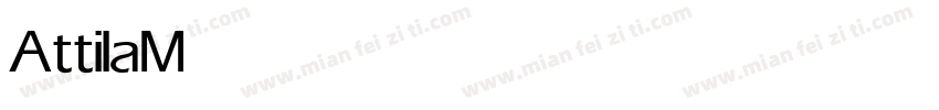 Attila Medium字体转换